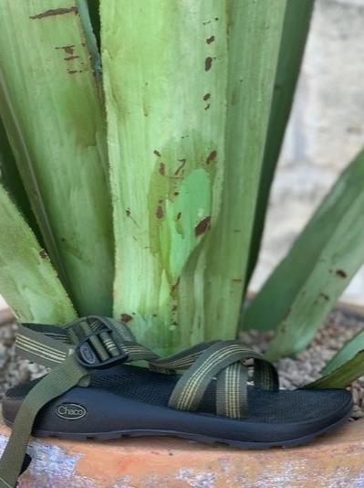 Men's Classic Z1 Chaco Sandal single strap olive straps - J106549