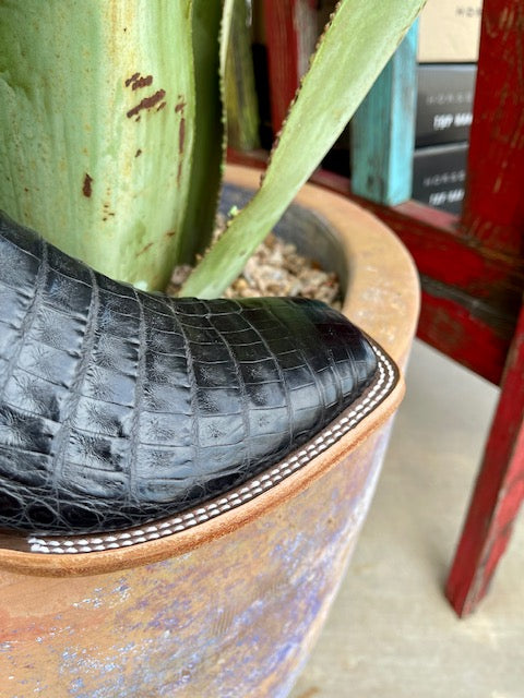 Men's Horse Power Black Caiman Boot - HP8002 - Blair's Western Wear Marble Falls, TX