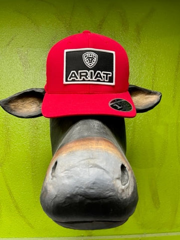 Men's Caps - A300037004