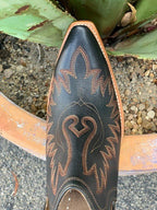 Women's Ariat Dixon Black Western Bootie