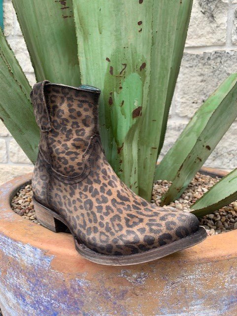 Women's Corral Distressed Lamb Leather Leopard-Print Bootie